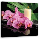 Ljuddämpande tavla - Pink Orchid Candles