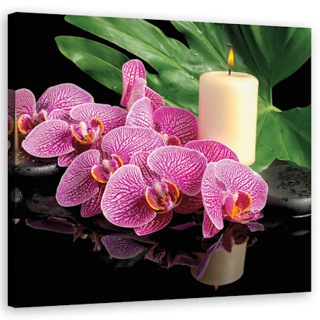 Ljuddämpande tavla - Pink Orchid Candles