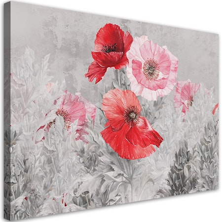 Ljuddämpande tavla - Red poppies on a grey meadow