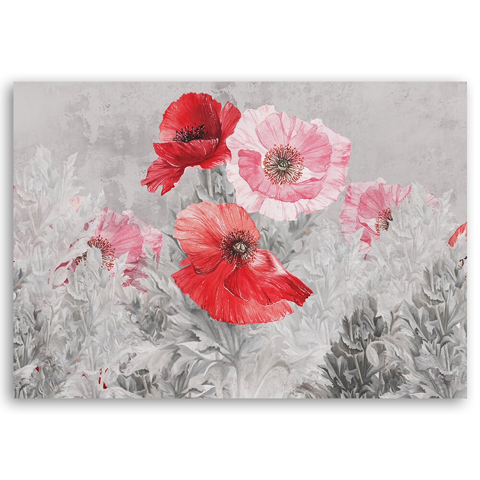 Ljuddämpande tavla - Red poppies on a grey meadow