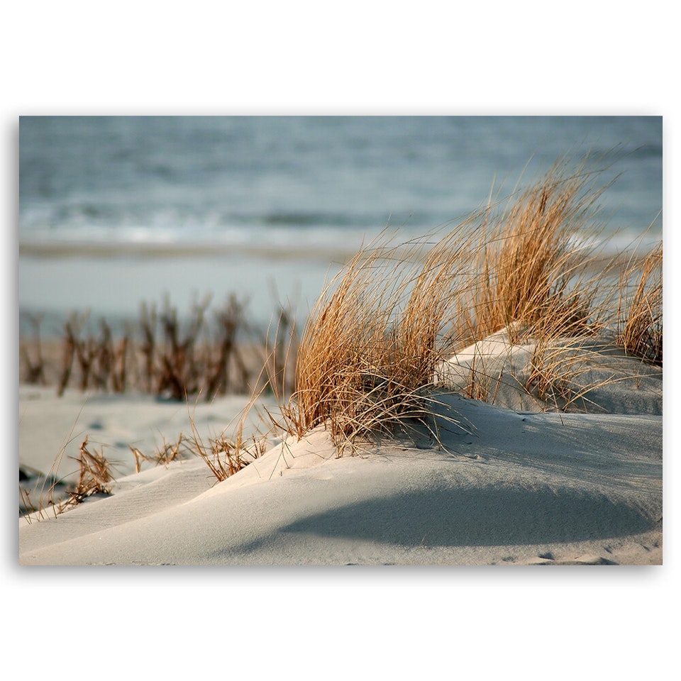 Ljuddämpande tavla - Dunes by the sea