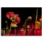 Ljuddämpande tavla - Red poppy flower