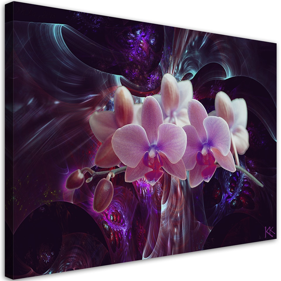 Ljuddämpande tavla "art" - White orchid on dark background