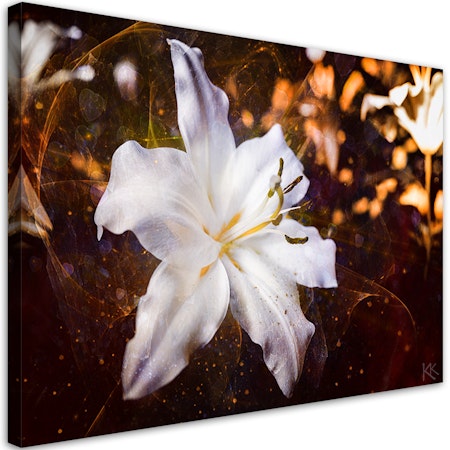 Ljuddämpande tavla - White lily on brown background