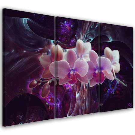 Ljuddämpande tavla - White orchid on dark background