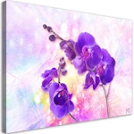 Ljuddämpande tavla - Violet orchid flower