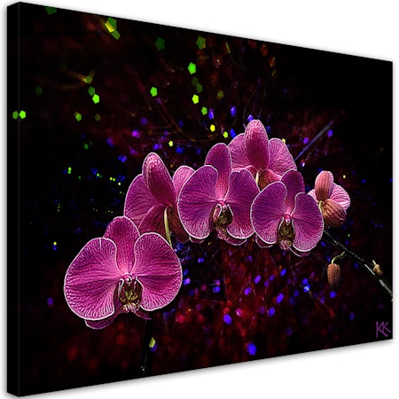 Ljuddämpande tavla "art" - Orchid on dark background