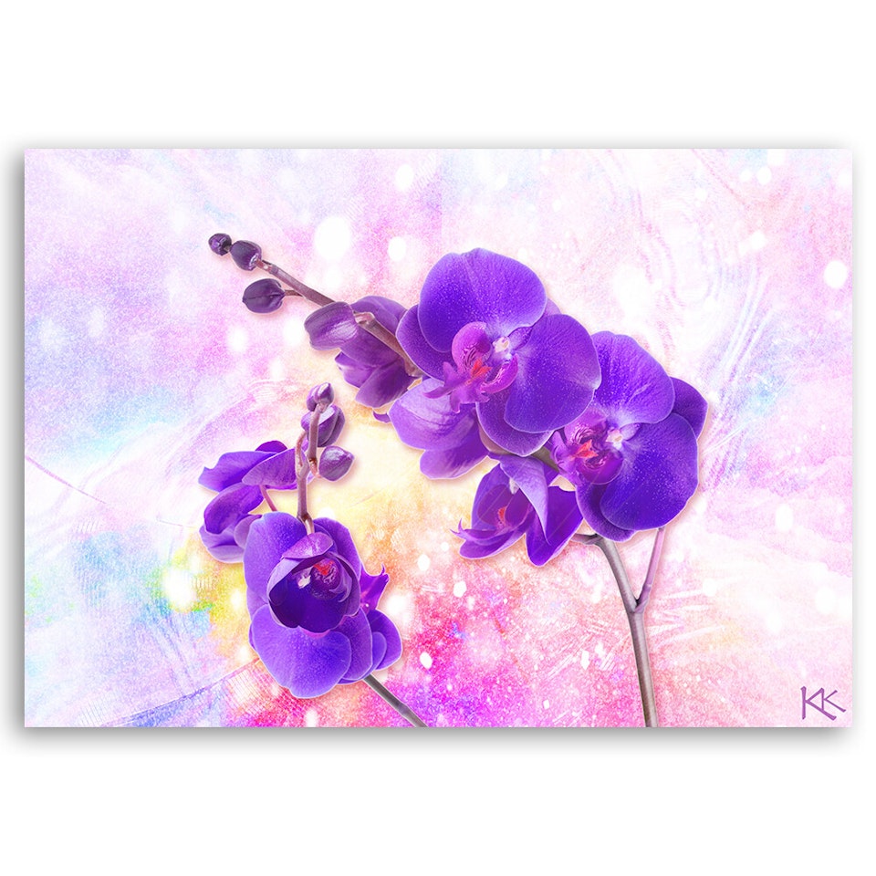 Ljuddämpande tavla - Violet orchid flower