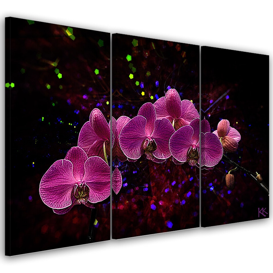 Ljuddämpande tavla - Orchid on dark background