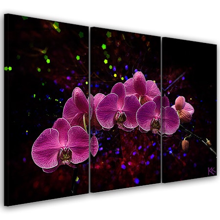 Ljuddämpande tavla - Orchid on dark background