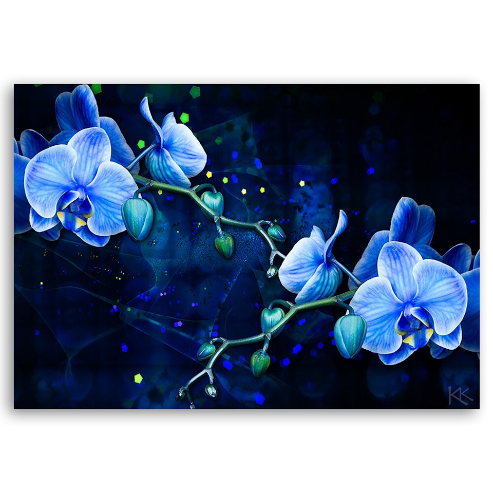 Ljuddämpande tavla - Blue orchid flower