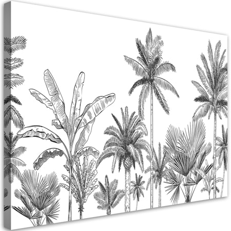 Ljuddämpande tavla - Black and white palms