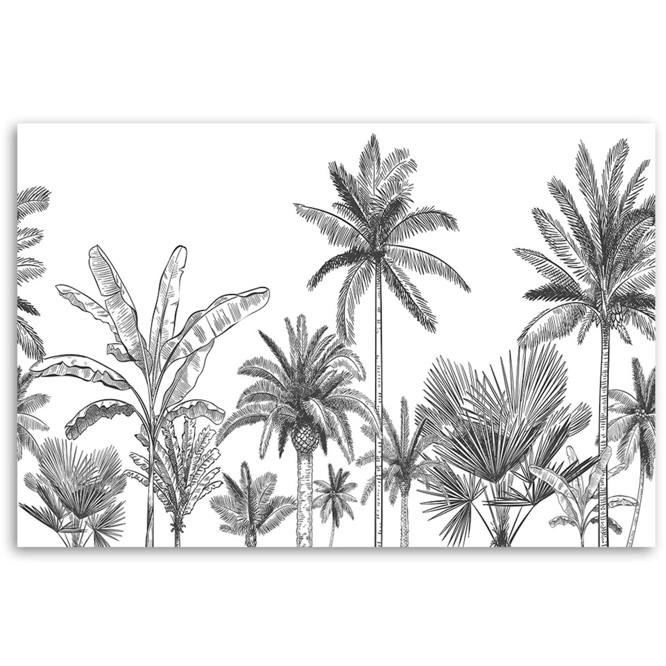 Ljuddämpande tavla - Black and white palms