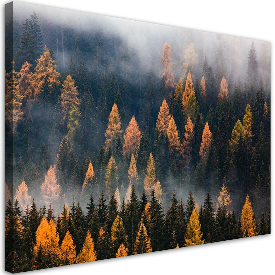 Ljuddämpande tavla "art" - Autumn tree landscape