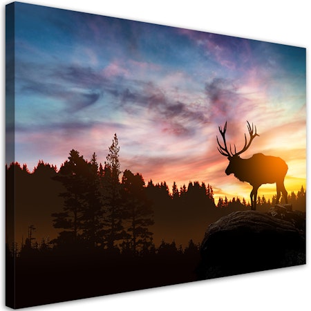 Ljuddämpande tavla - Deer at sunset