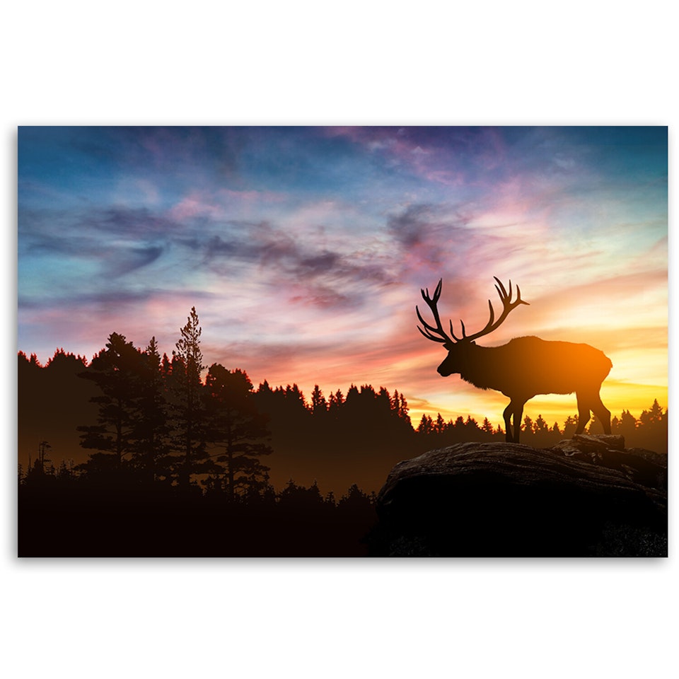 Ljuddämpande tavla - Deer at sunset