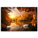 Ljuddämpande tavla "art" - Swan on the pond autumn