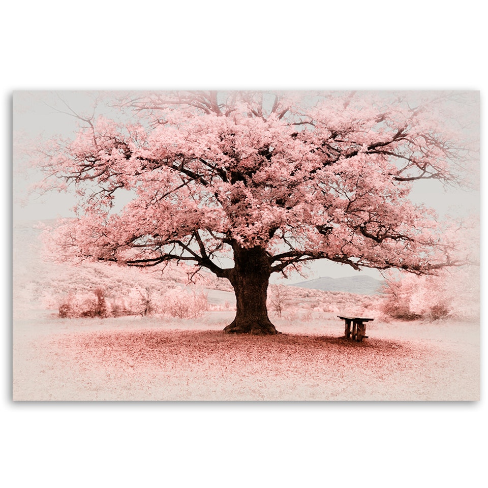 Ljuddämpande tavla - Pink tree abstract nature