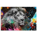 Ljuddämpande tavla "art" - Lion on colourful background