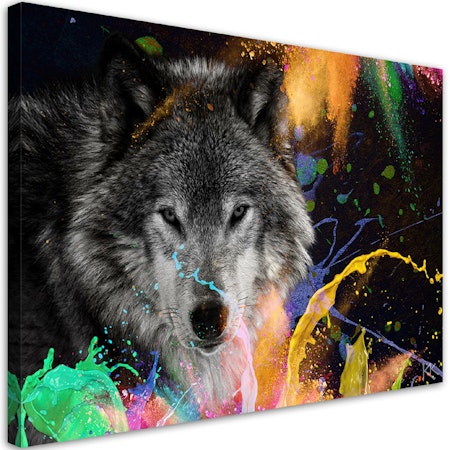 Ljuddämpande tavla - Wolf on a colourful background