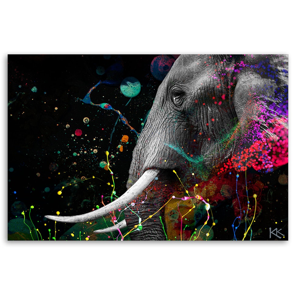 Ljuddämpande tavla - African elephant abstract