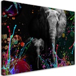 Ljuddämpande tavla - Elephant on colourful background