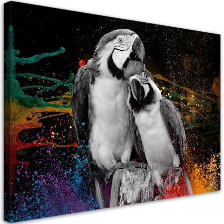 Ljuddämpande tavla - Colorful parrots abstract