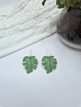 Monstera