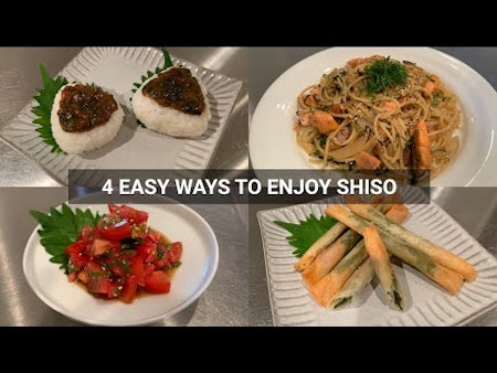 Shiso grön