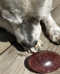 Jordgubbskvarts Handsten