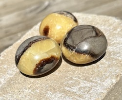 Septarian Handsten