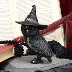 Owlocen, Black Witch Owl