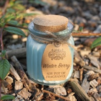Doftljus Sojavax | Winter Berry | ECO