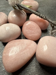 Rosa Opal Cuddle