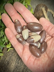 Shiva Lingam