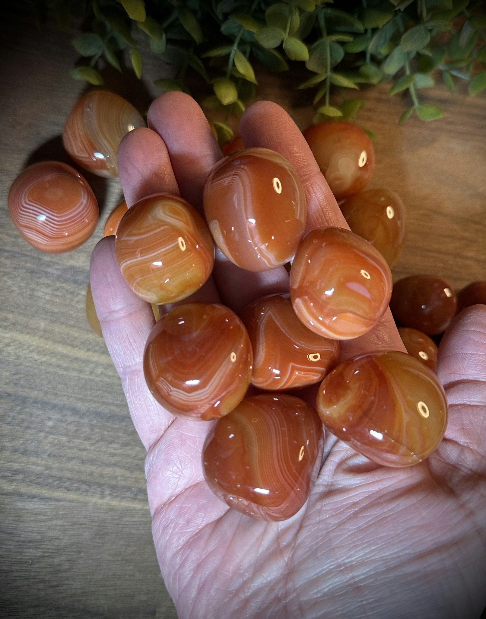 Sardonyx