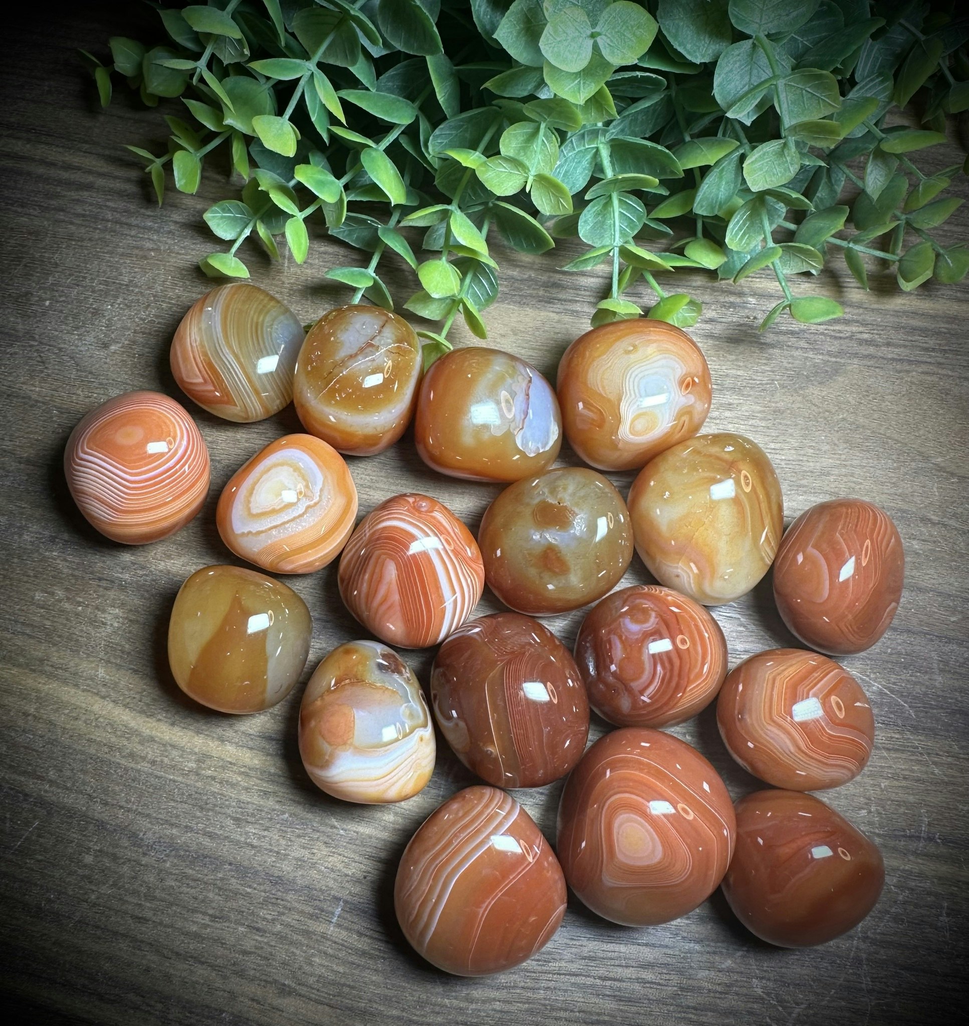 Sardonyx