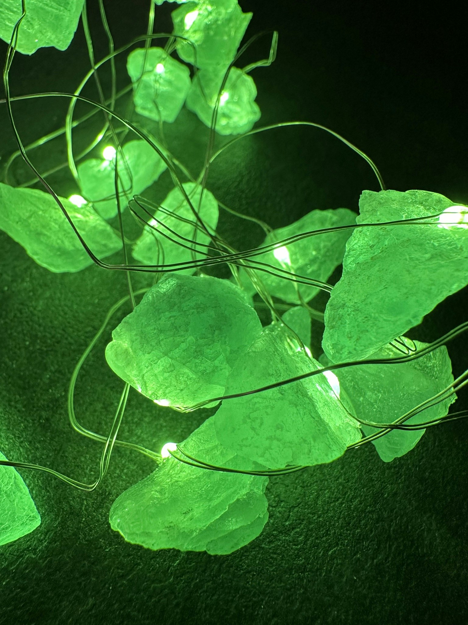 Ljusslinga | Grön Jade | REA