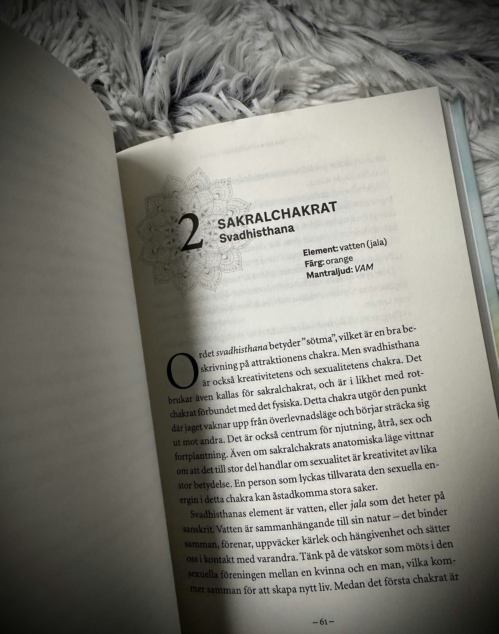 Chakra Healing -  Lär Känna Kroppens Energikällor För Inre Balans Och Livslust 🇸🇪