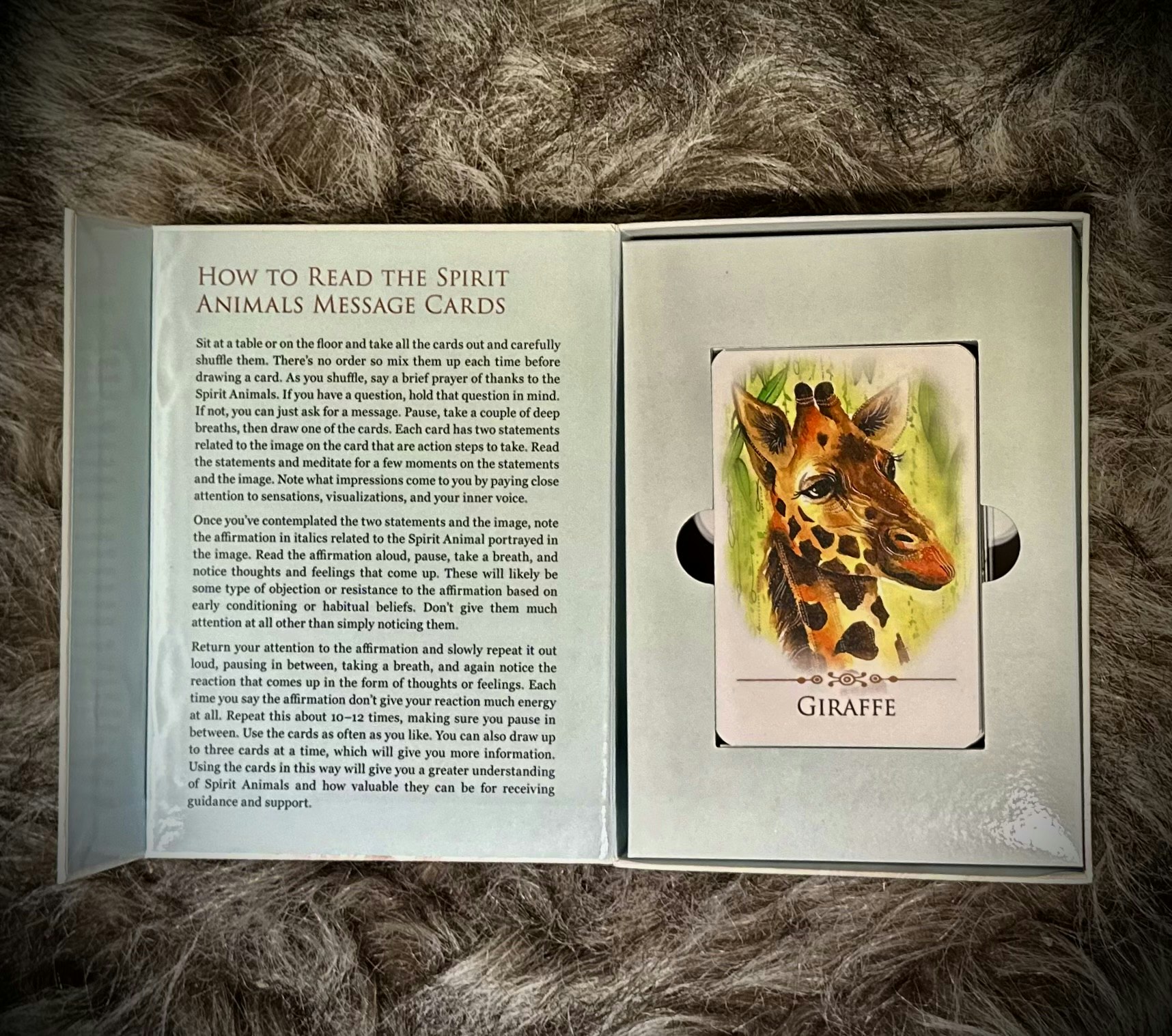 Spirit Animals Message Cards Visex 50%