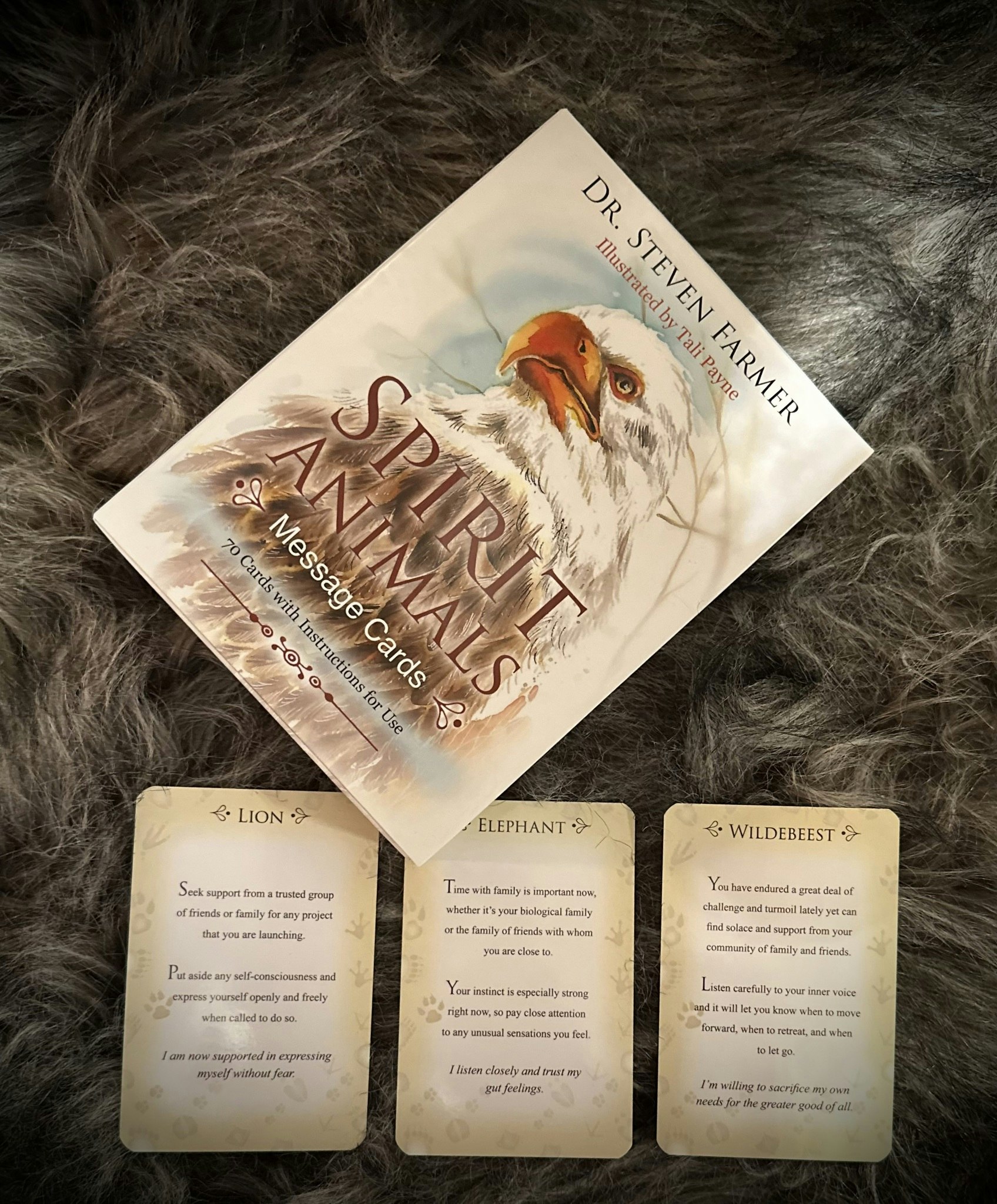 Spirit Animals Message Cards Visex 50%