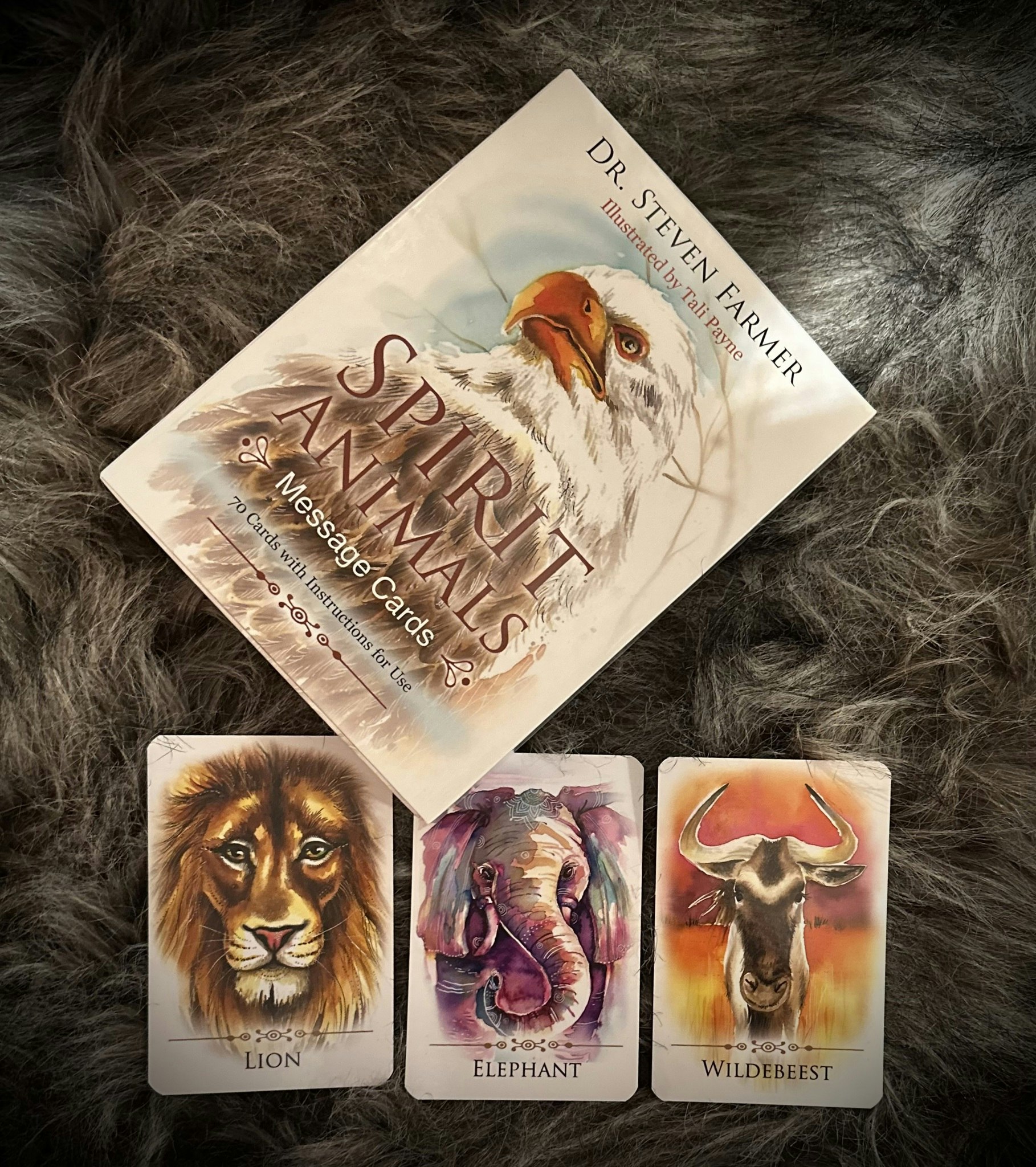 Spirit Animals Message Cards Visex 50%