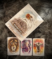 Spirit Animals Message Cards