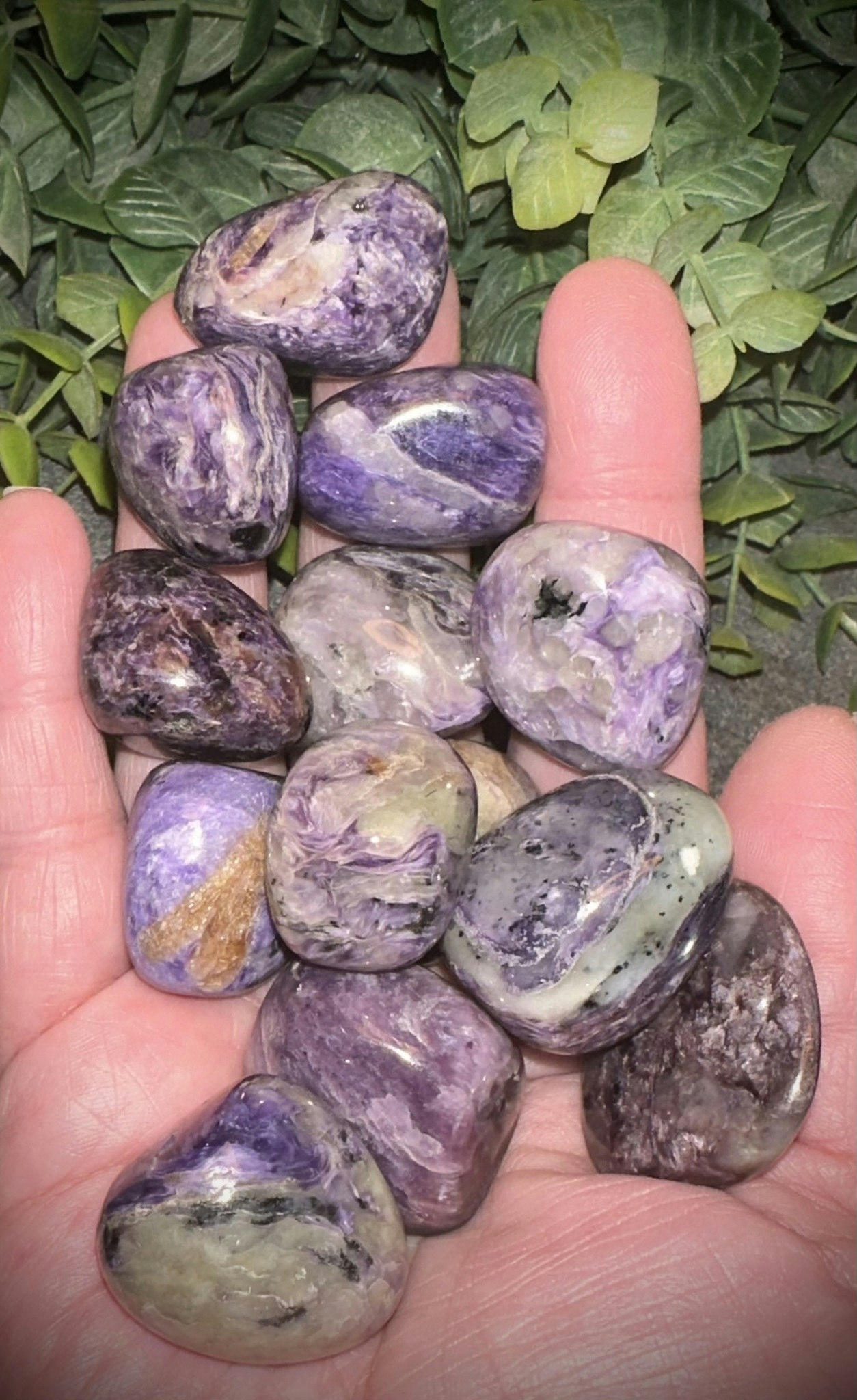 Charoit, Polerad