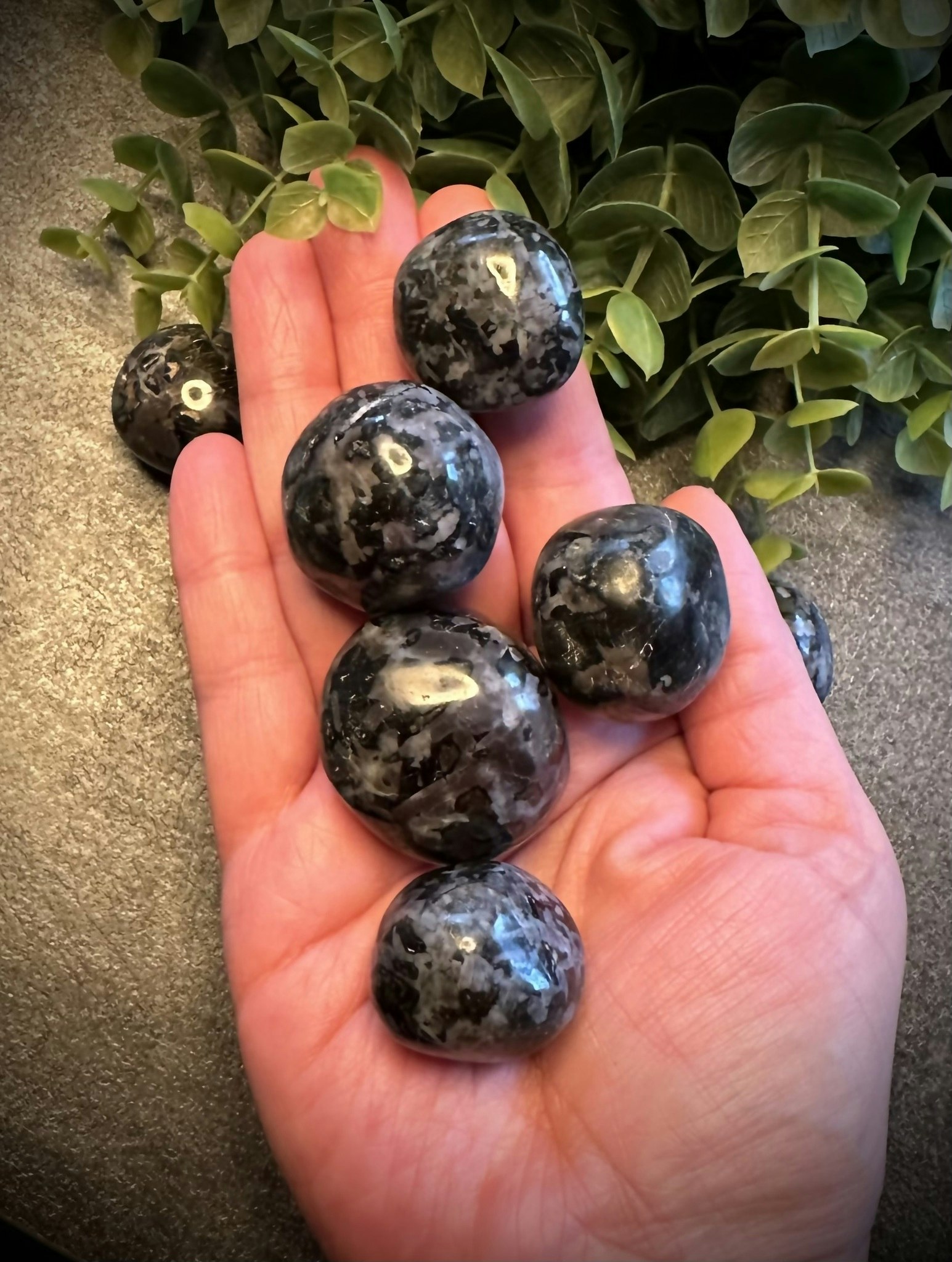 Indigo Gabbro