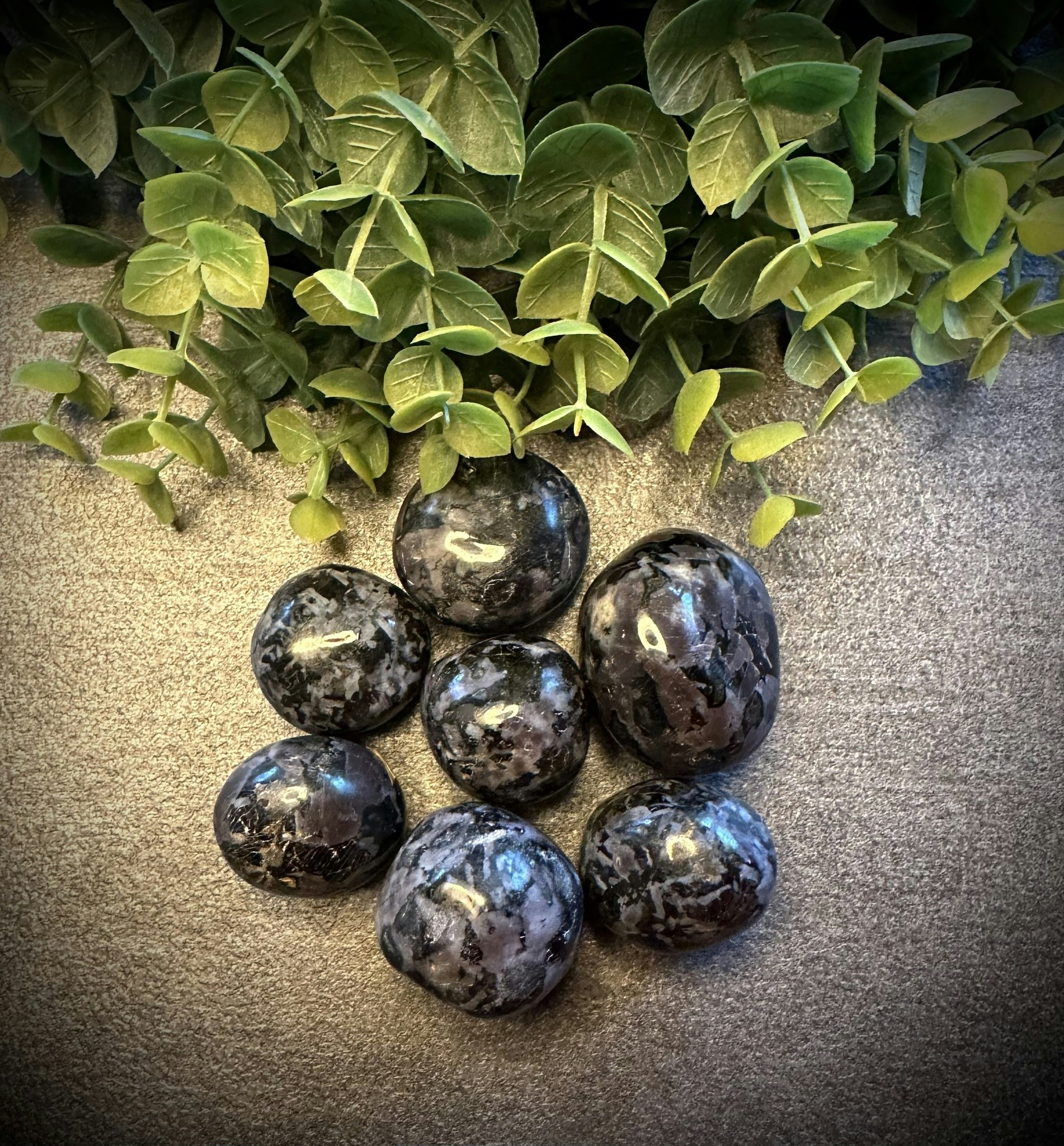 Indigo Gabbro