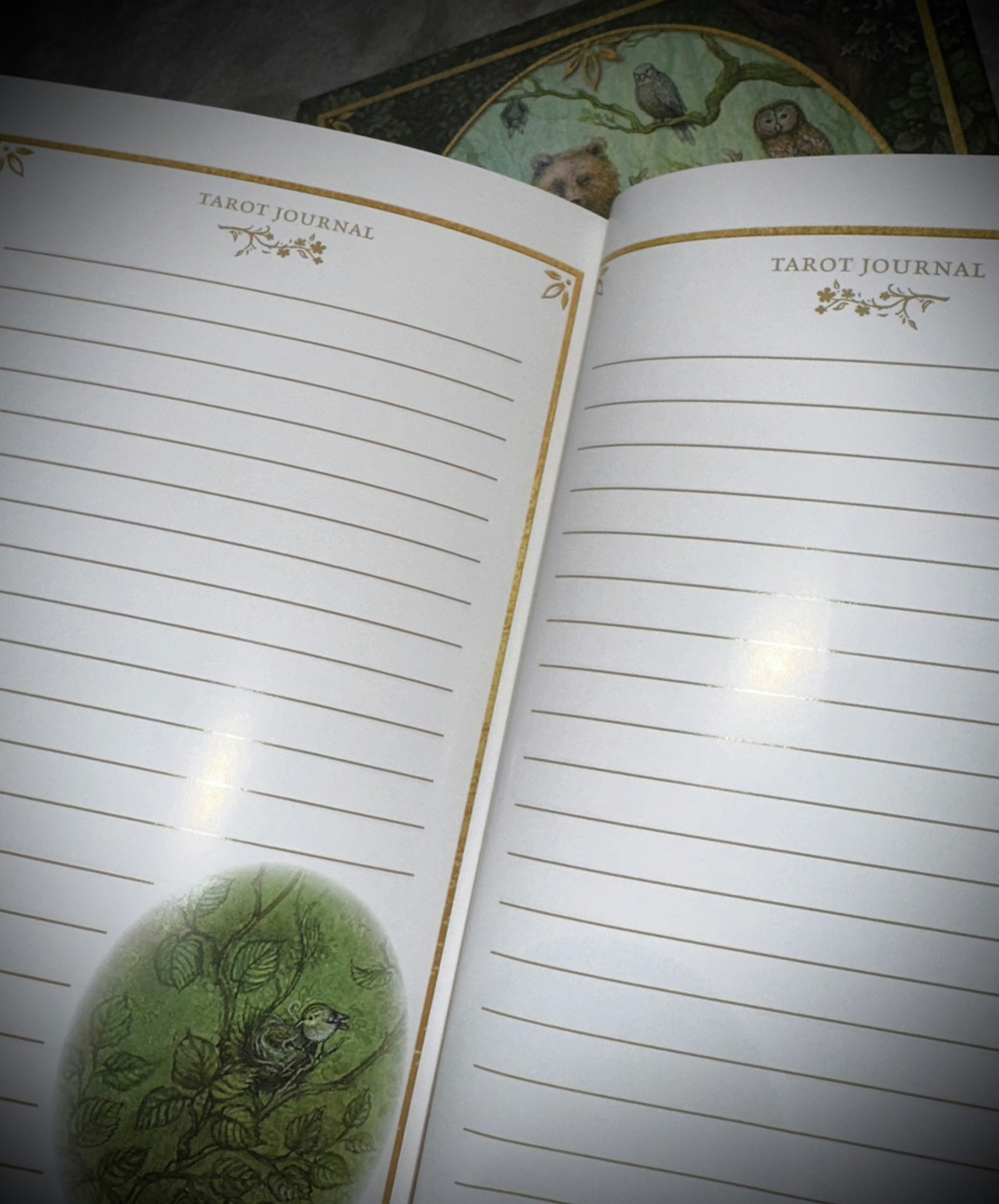 Forest Of Enchantement Tarot