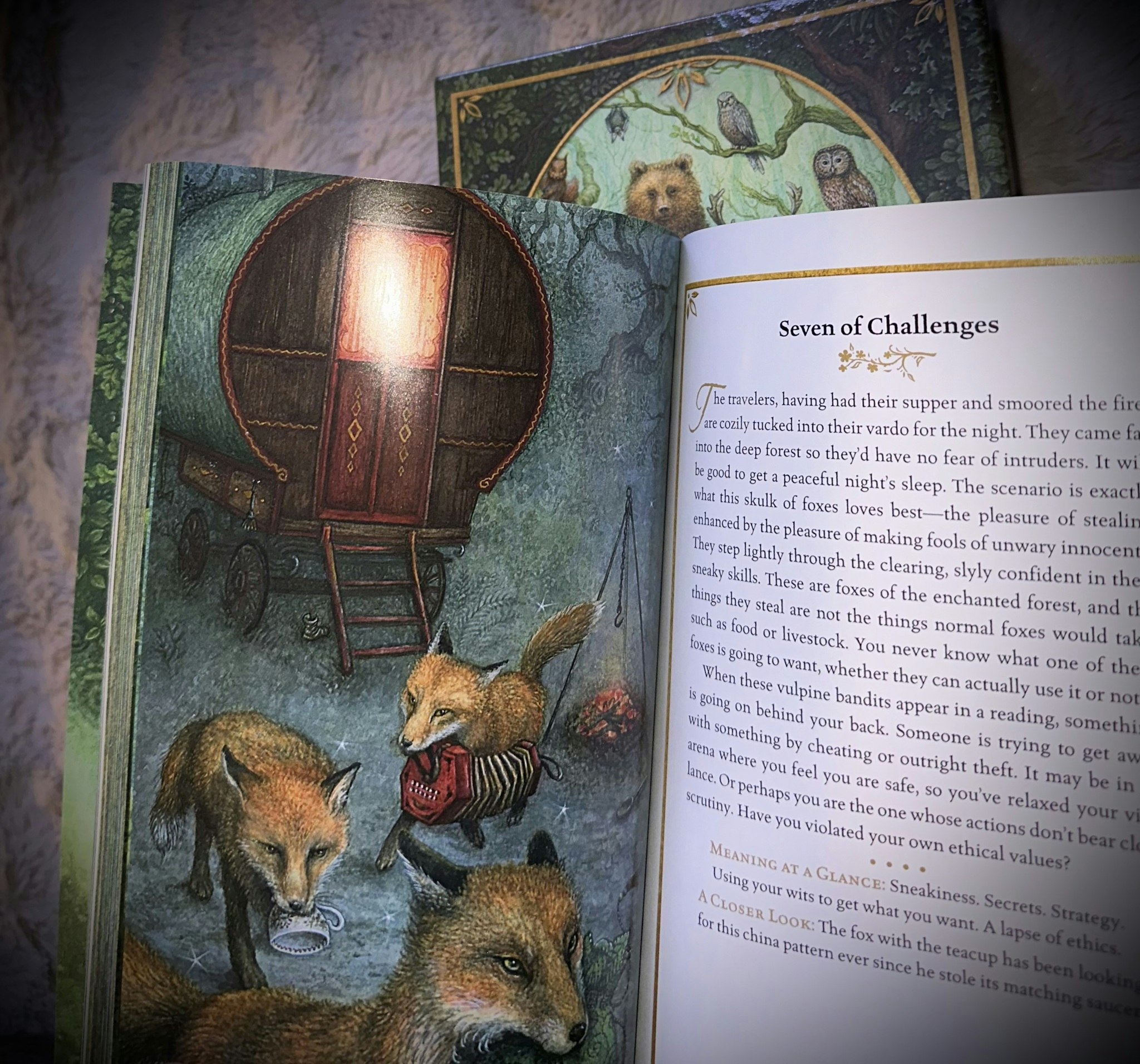 Forest Of Enchantement Tarot