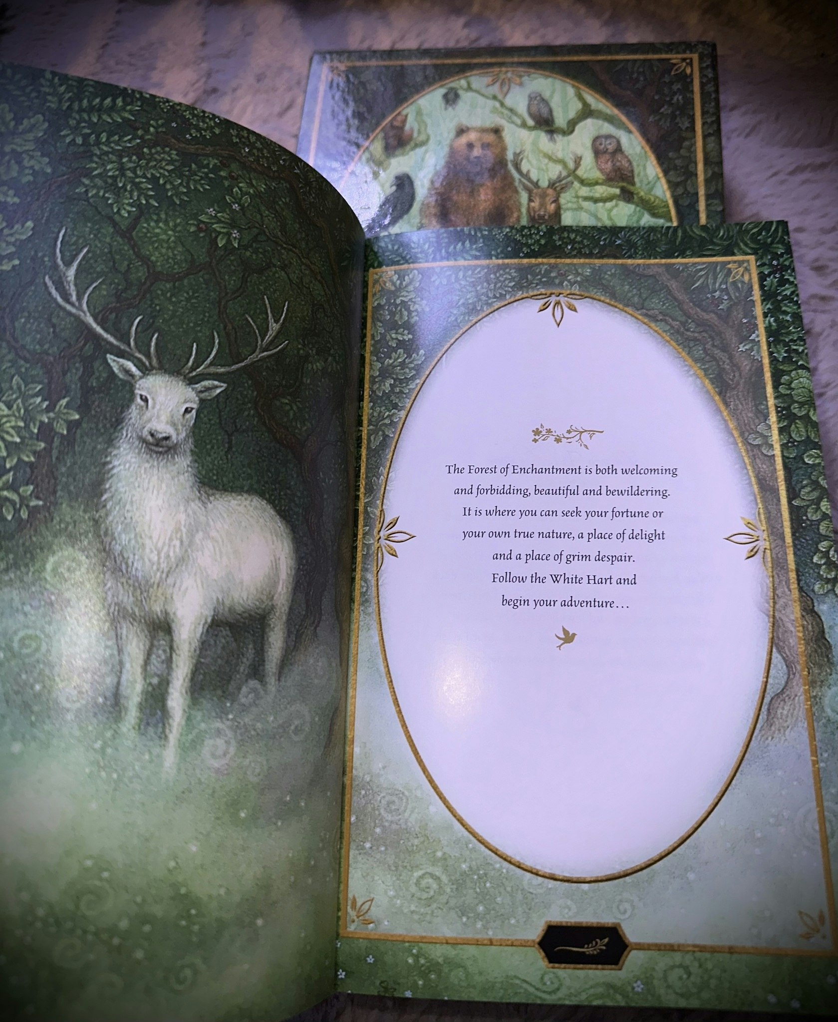 Forest Of Enchantement Tarot