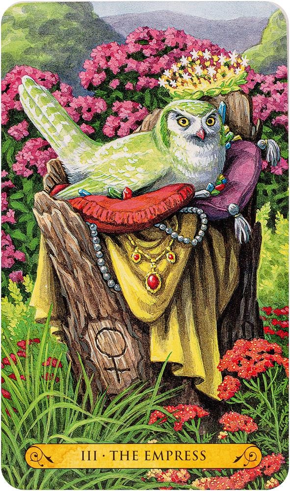 Tarot Of The Owls